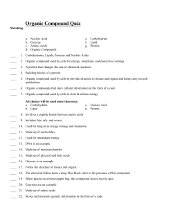 3. Organic Compound and Enzyme Quiz