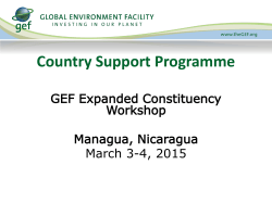 Focal Area and Cross Cutting Strategies * Chemicals
