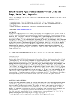 First Southern right whale aerial surveys in Golfo San Jorge, Santa