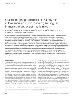 Oral macrophage-like cells play a key role in tolerance