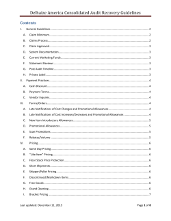 Delhaize America Consolidated Audit Recovery Guidelines