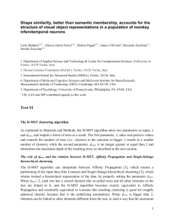 The D-MST clustering algorithm