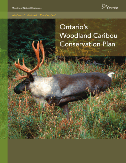 Ontario`s Woodland Caribou Conservation Plan