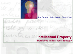 Intellectual Property Portfolios in Business Strategy
