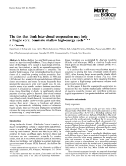 The ties that bind: Inter-clonal cooperation may help a fragile coral