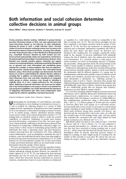 Both information and social cohesion determine collective decisions
