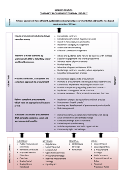 Procurement Strategy One Page Summary