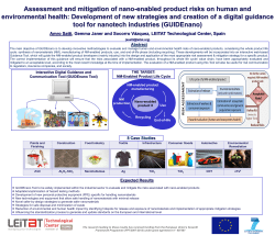 Assessment and mitigation of nano-enabled product risks on