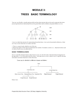 module 3: trees basic terminology