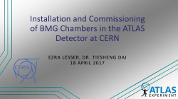 Installation and Commissioning of BMG Chambers in