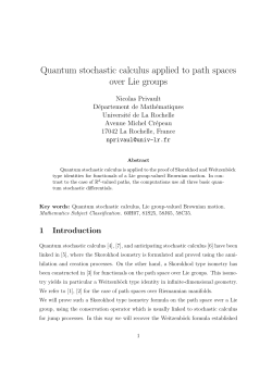 Quantum stochastic calculus applied to path spaces over Lie groups