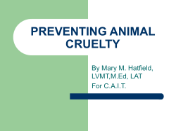 PREVENTING ANIMAL CRUELTY