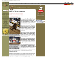 AQHA - 2008 AQHA / Fort Dodge Versatility Ranch Horse World