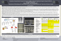 Genigraphics Research Poster Template 24x36