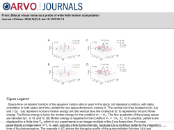 Slide - Journal of Vision