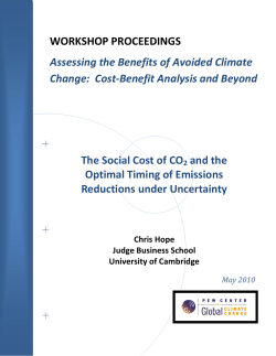 The Social Cost of CO 2 and the Optimal Timing of Emissions