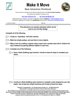 Make It Move - US Scouting Service Project