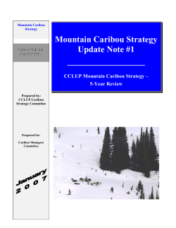 CCLUP Mountain Caribou Strategy – 5-Year Review