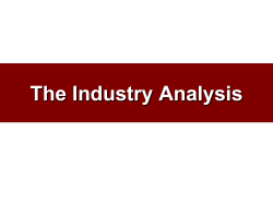 The Industry Analysis