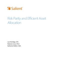 Risk Parity and Efficient Asset Allocation