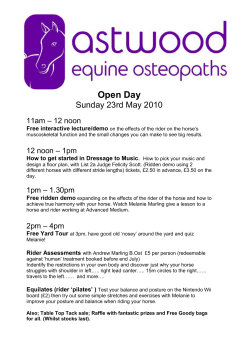 Astwood Equine Osteopaths Open Day