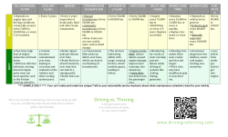 Template back: Editable MS Word file