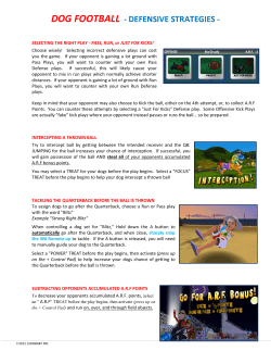 dog football - defensive strategies