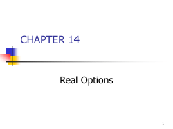 Options, PowerPoint Show