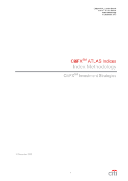 CitiFX Economic Factor Model Strategy Index comprised