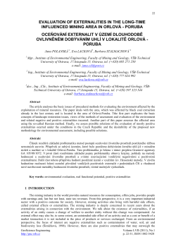 Evaluation of Externalities in The Long