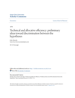 Technical and allocative efficiency: preliminary