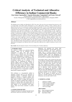 Critical Analysis of Technical and Allocative Efficiency in Indian