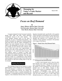 Focus on Beef Demand - Agricultural Marketing Information Links