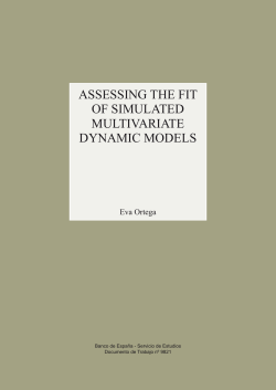 Asseessing the fit of simulated multivariate dynamic models
