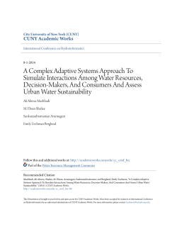 A Complex Adaptive Systems Approach To Simulate Interactions