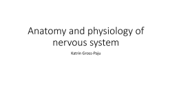 Anatomy and physiology of nervous system