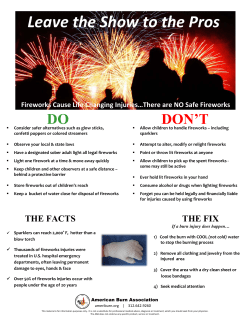 Leave the Show to the Pros - American Burn Association