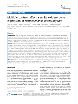 Multiple controls affect arsenite oxidase gene expression in