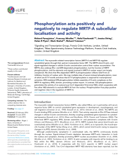 Phosphorylation acts positively and negatively to regulate MRTF