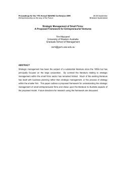 Strategic Management of Small Firms