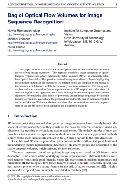 Bag of Optical Flow Volumes for Image Sequence Recognition1