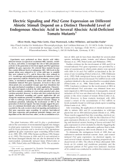 Electric Signaling and Pin2 Gene Expression on