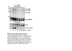 - 2 5 10 20 60 120 IL-1 &alpha; (min) kD 97 66 43 immunoblot kinase