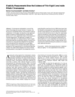Elasticity Measurements Show the Existence of Thin Rigid Cores