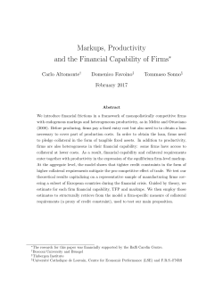 Markups, Productivity and the Financial Capability of Firms