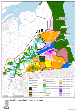 Long Bay precinct plan 1: Land use strategy