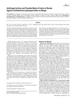 Antifungal Activity and Possible Mode of Action of Borate Against