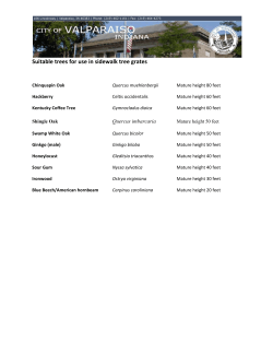 Suitable trees for use in sidewalk tree grates