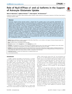 Role of Na,K-ATPase a1 and a2 Isoforms in the Support of Astrocyte