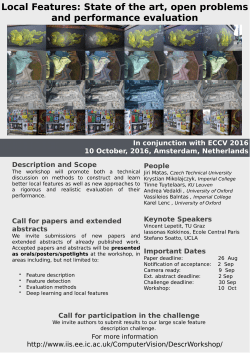 Local Features: State of the art, open problems and performance